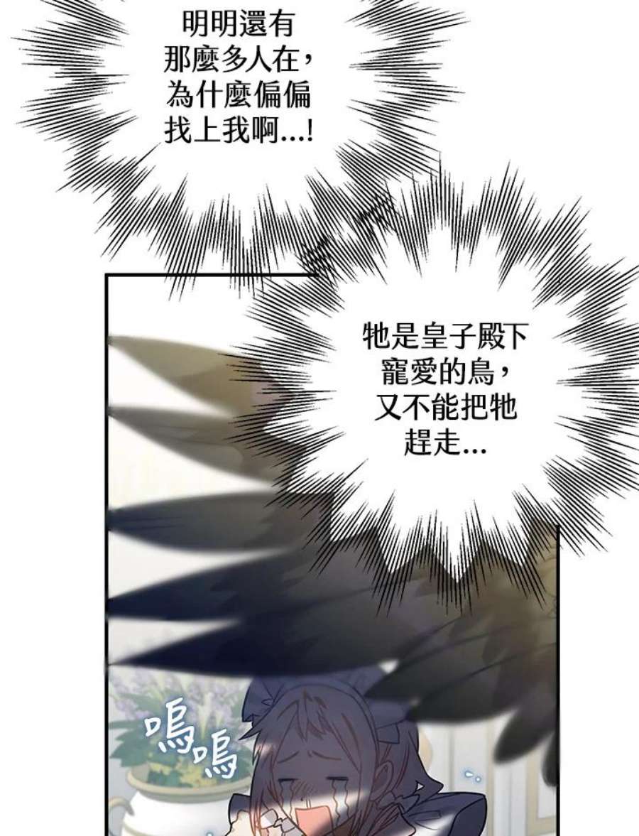 偏偏变成了乌鸦15话