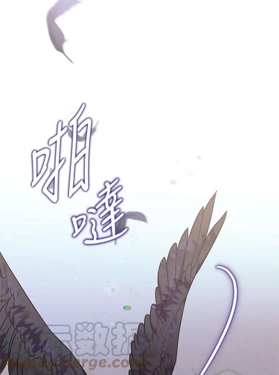 偏偏变成了乌鸦17话