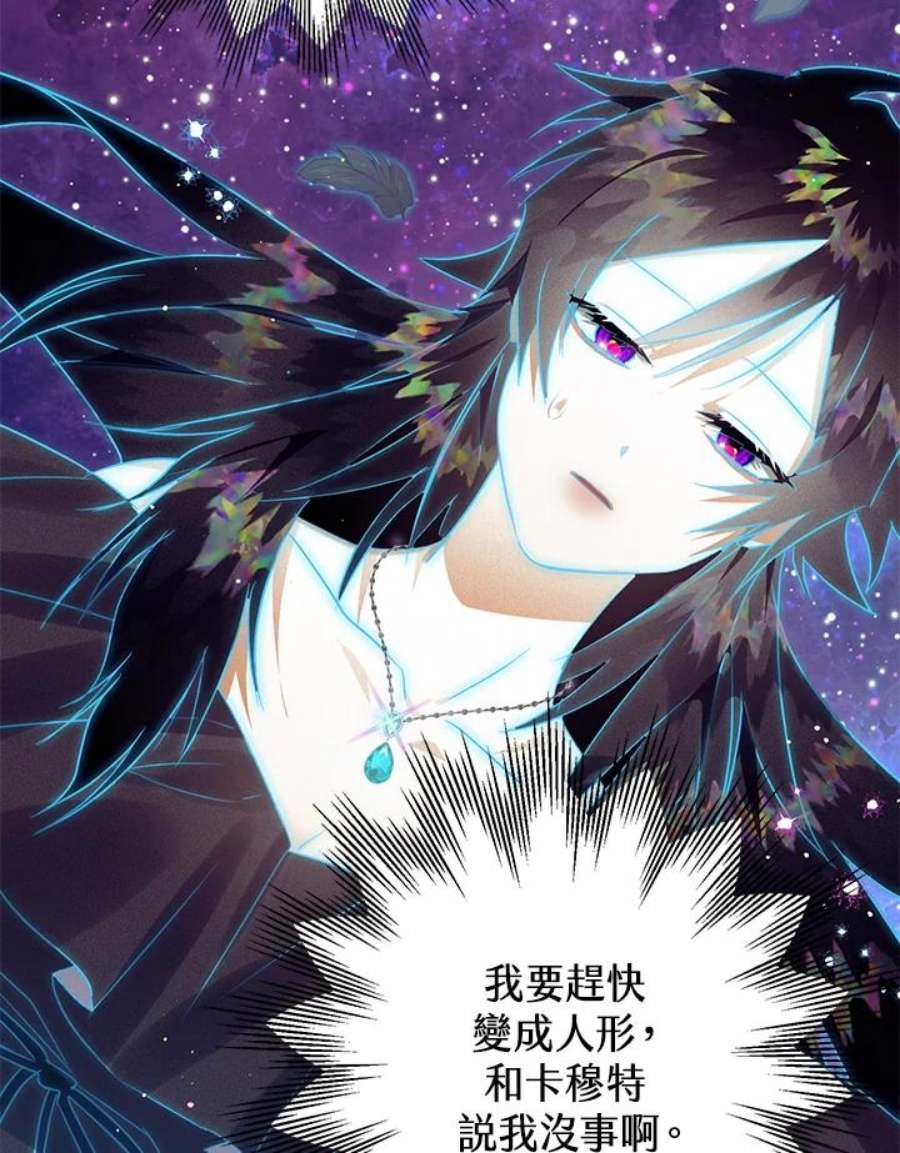 偏偏变成了乌鸦17话