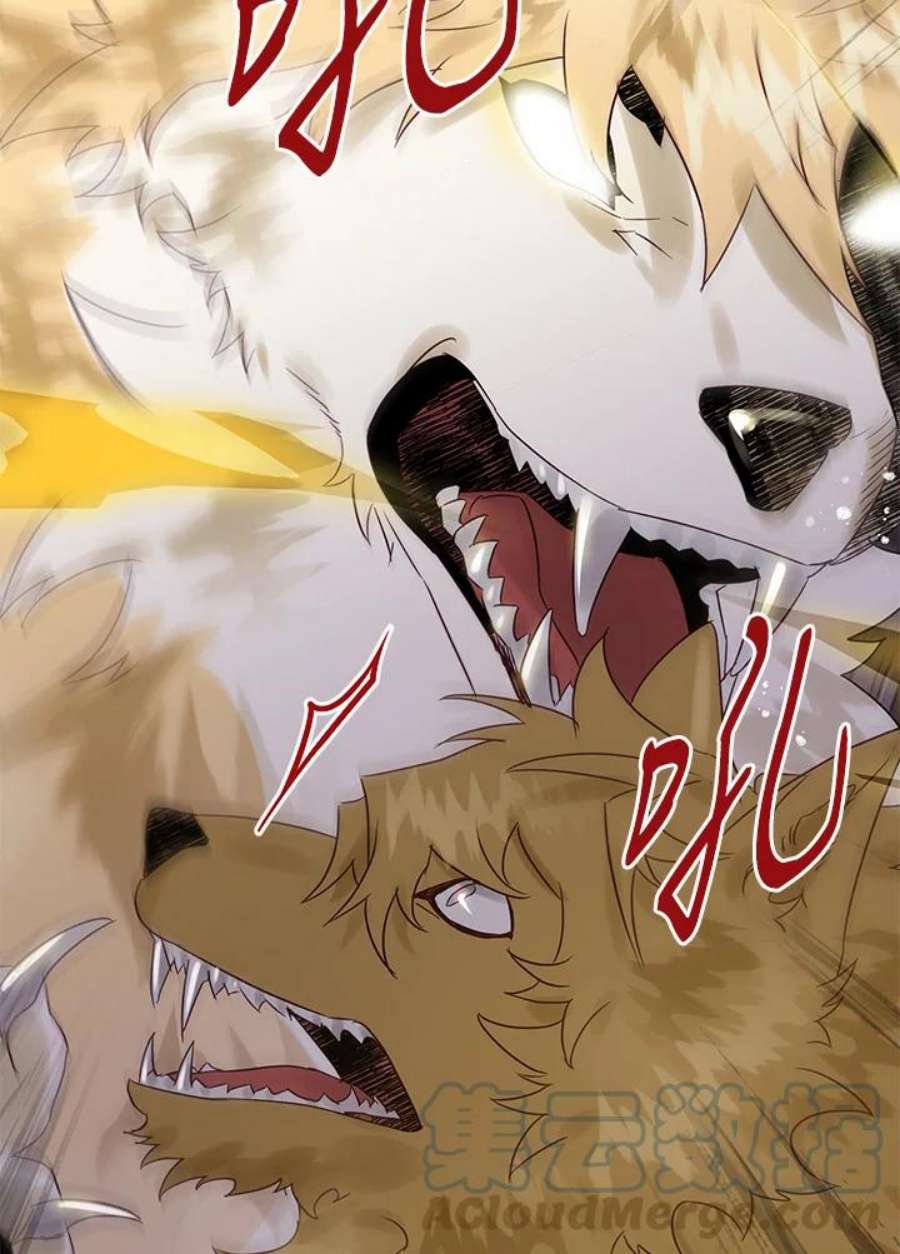 偏偏变成了乌鸦19话