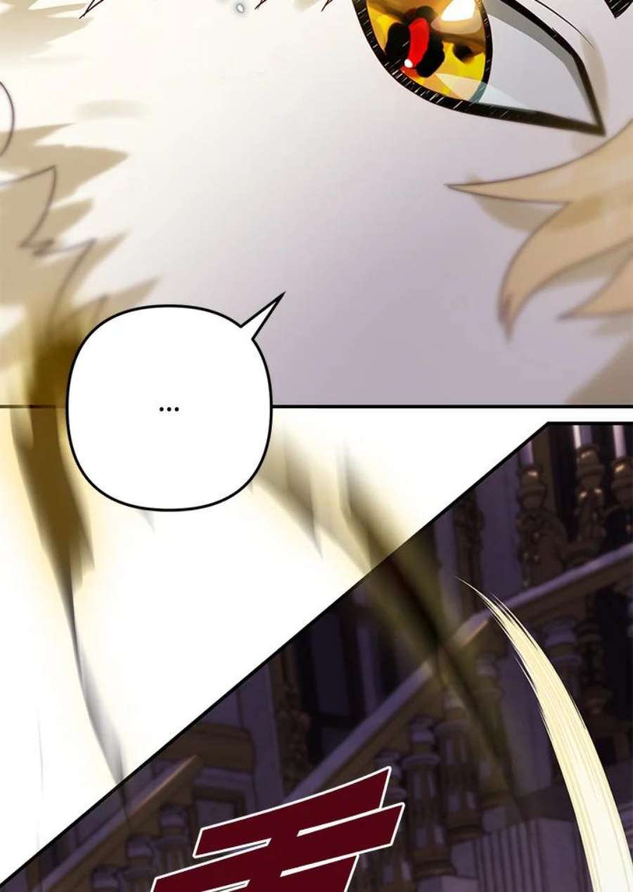 偏偏变成了乌鸦19话