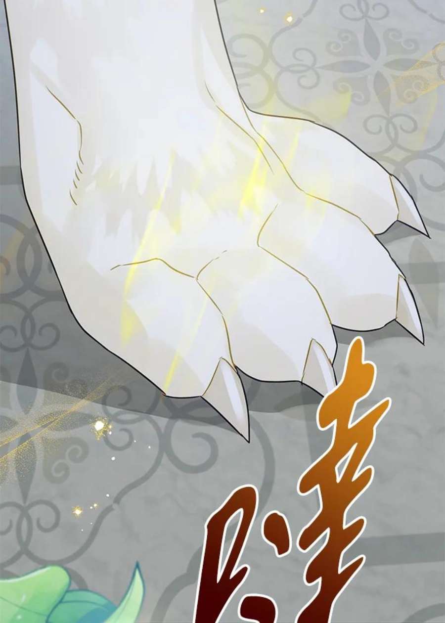 偏偏变成了乌鸦20话