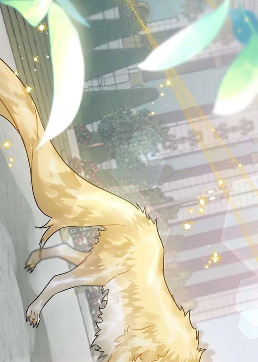 偏偏变成了乌鸦20话