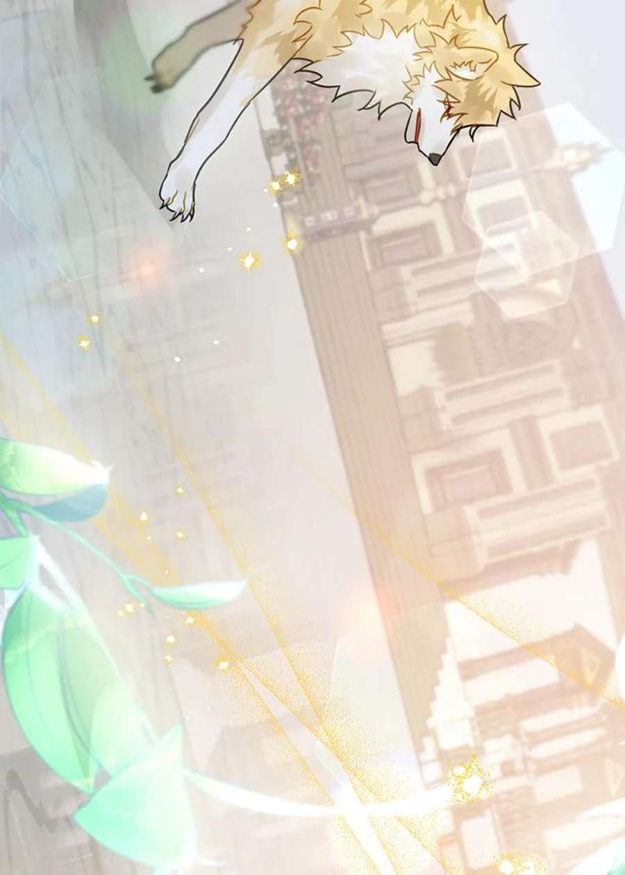 偏偏变成了乌鸦20话