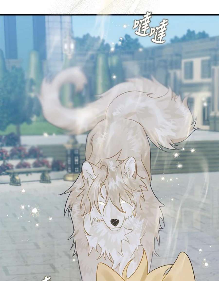 偏偏变成了乌鸦20话