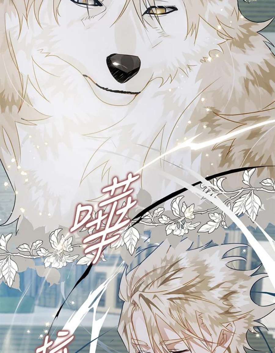 偏偏变成了乌鸦20话