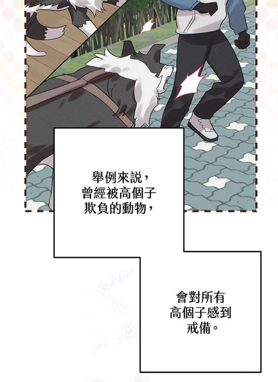 偏偏变成了乌鸦20话