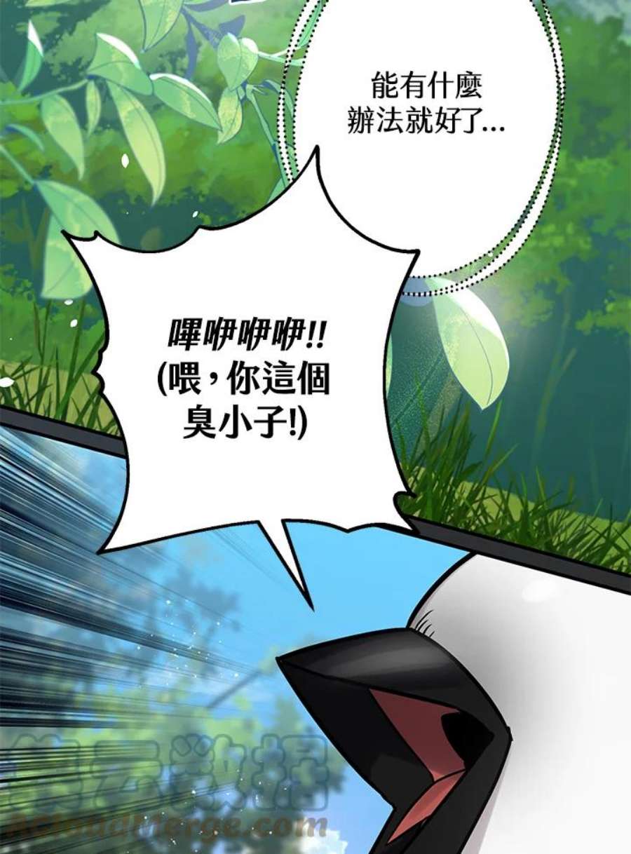 偏偏变成了乌鸦23话