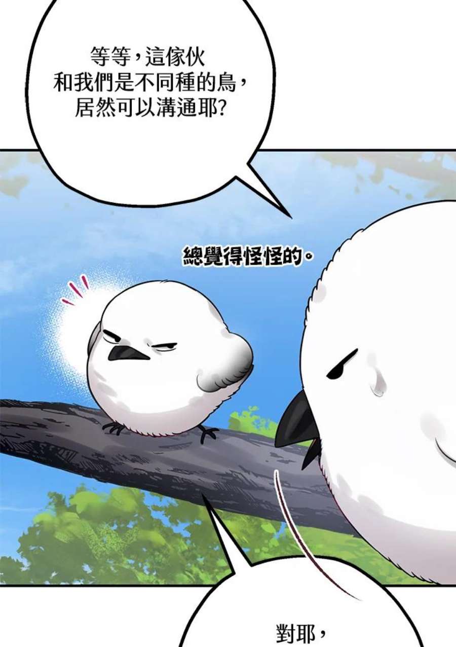 偏偏变成了乌鸦24话