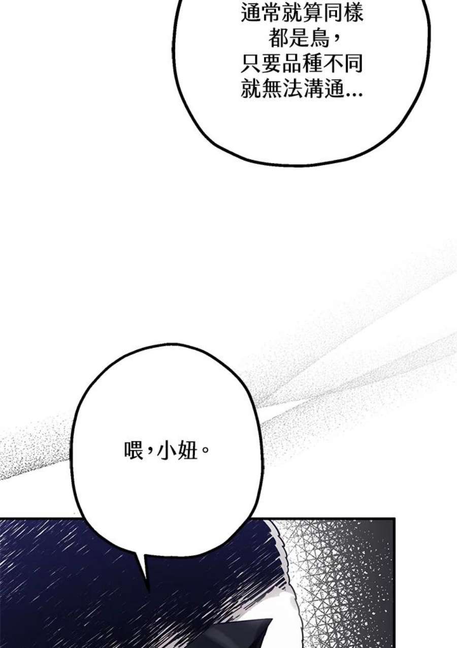 偏偏变成了乌鸦24话