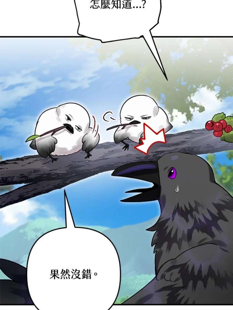 偏偏变成了乌鸦24话