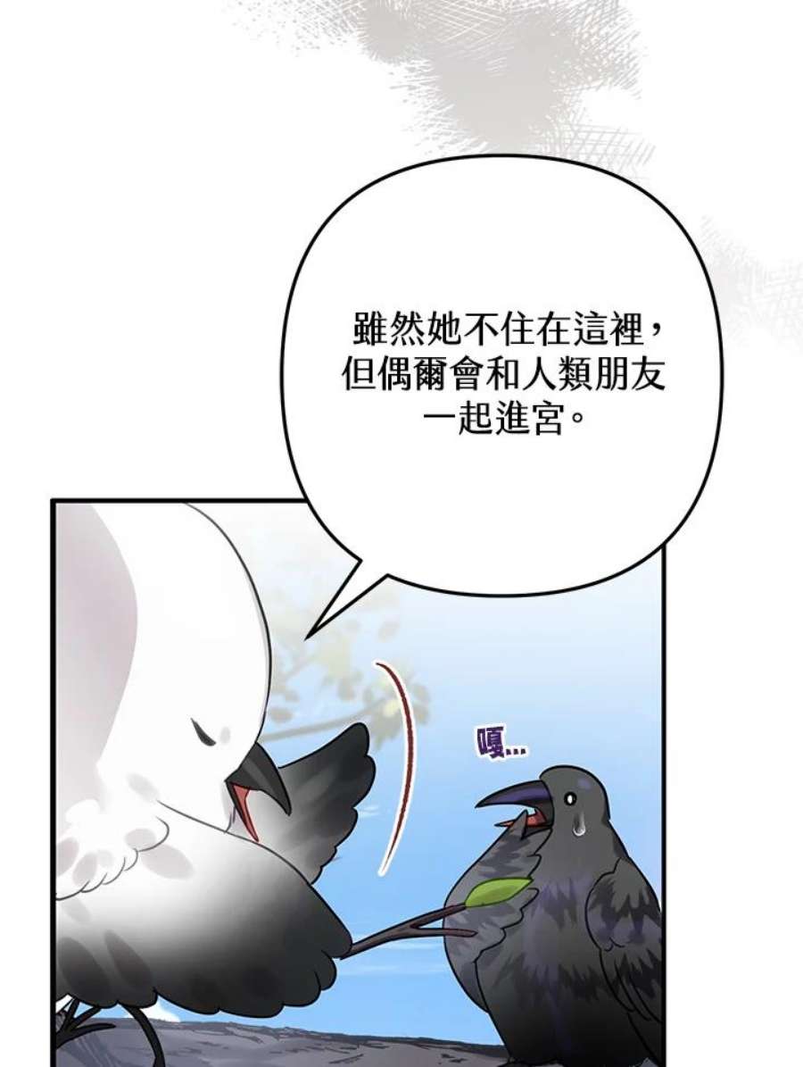 偏偏变成了乌鸦24话