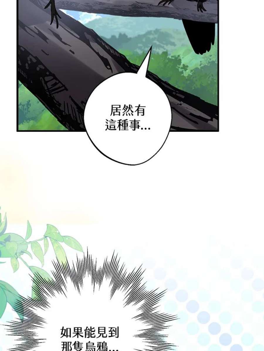 偏偏变成了乌鸦24话