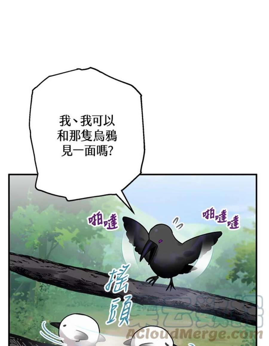 偏偏变成了乌鸦24话