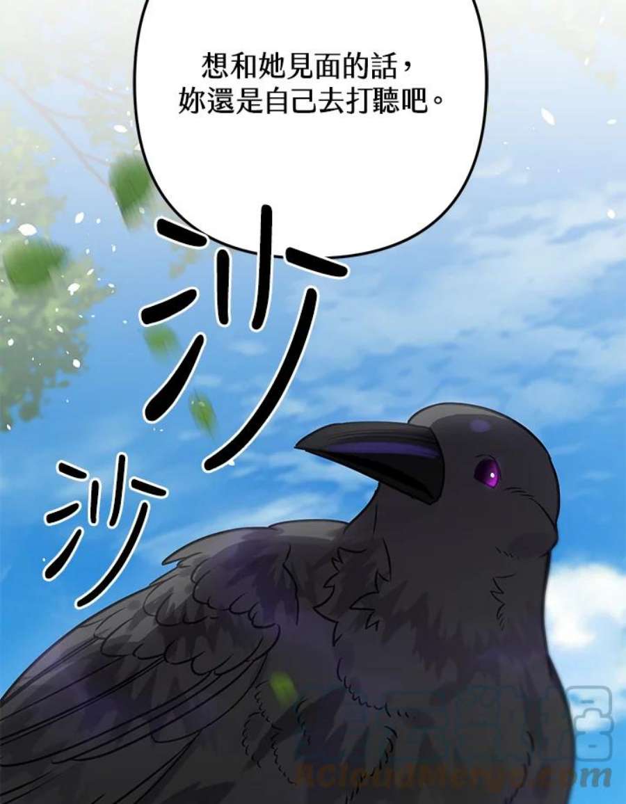 偏偏变成了乌鸦24话