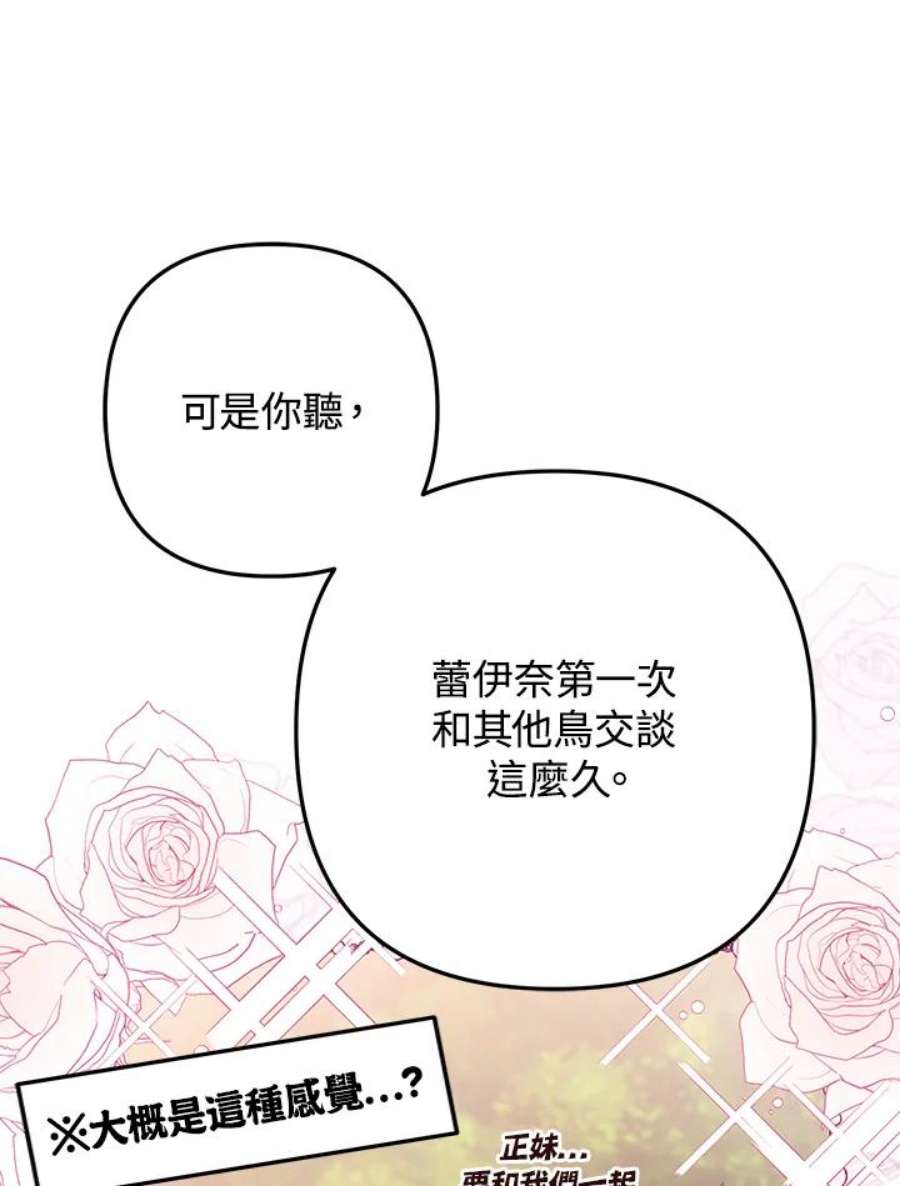 偏偏变成了乌鸦24话