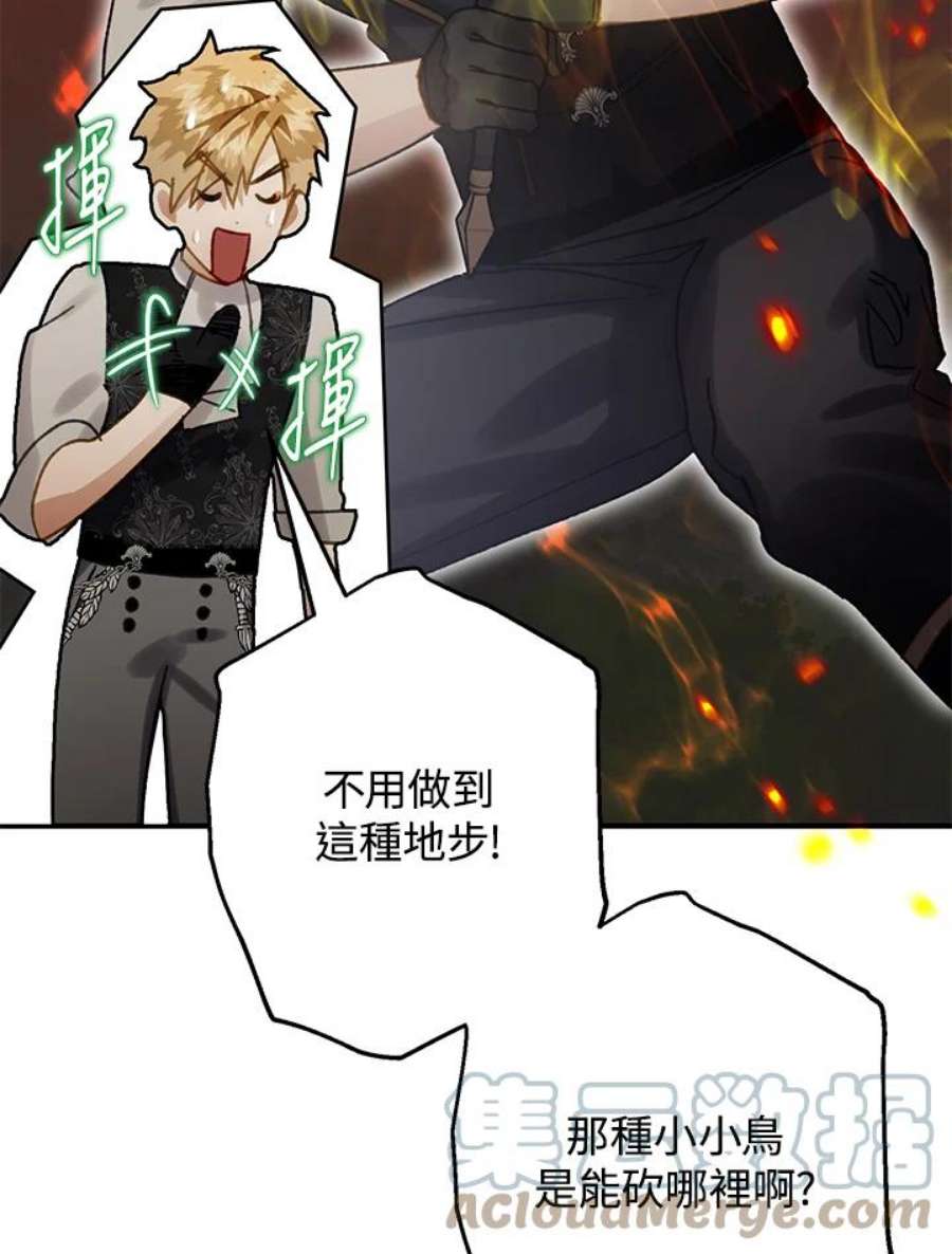 偏偏变成了乌鸦24话