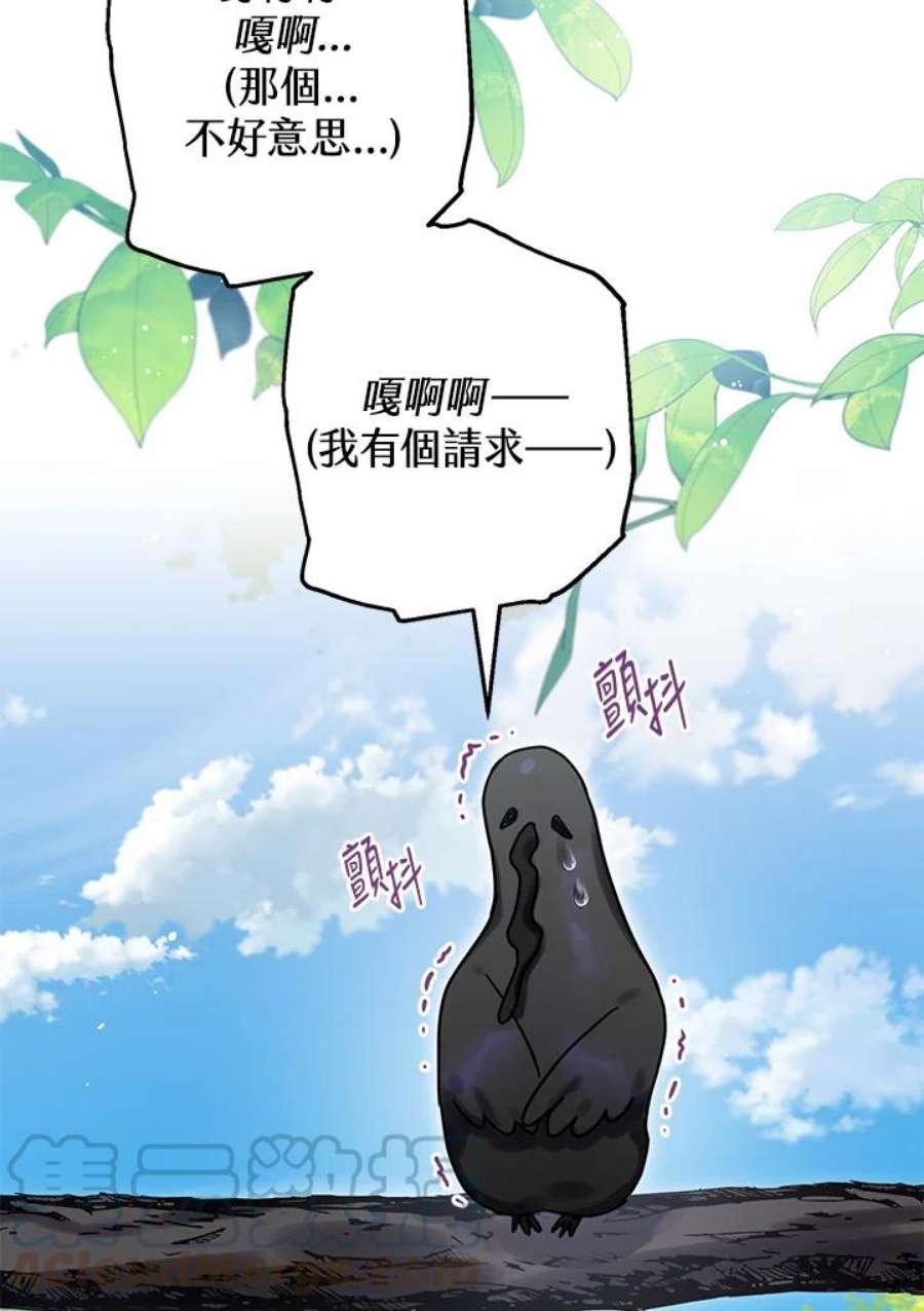 偏偏变成了乌鸦24话