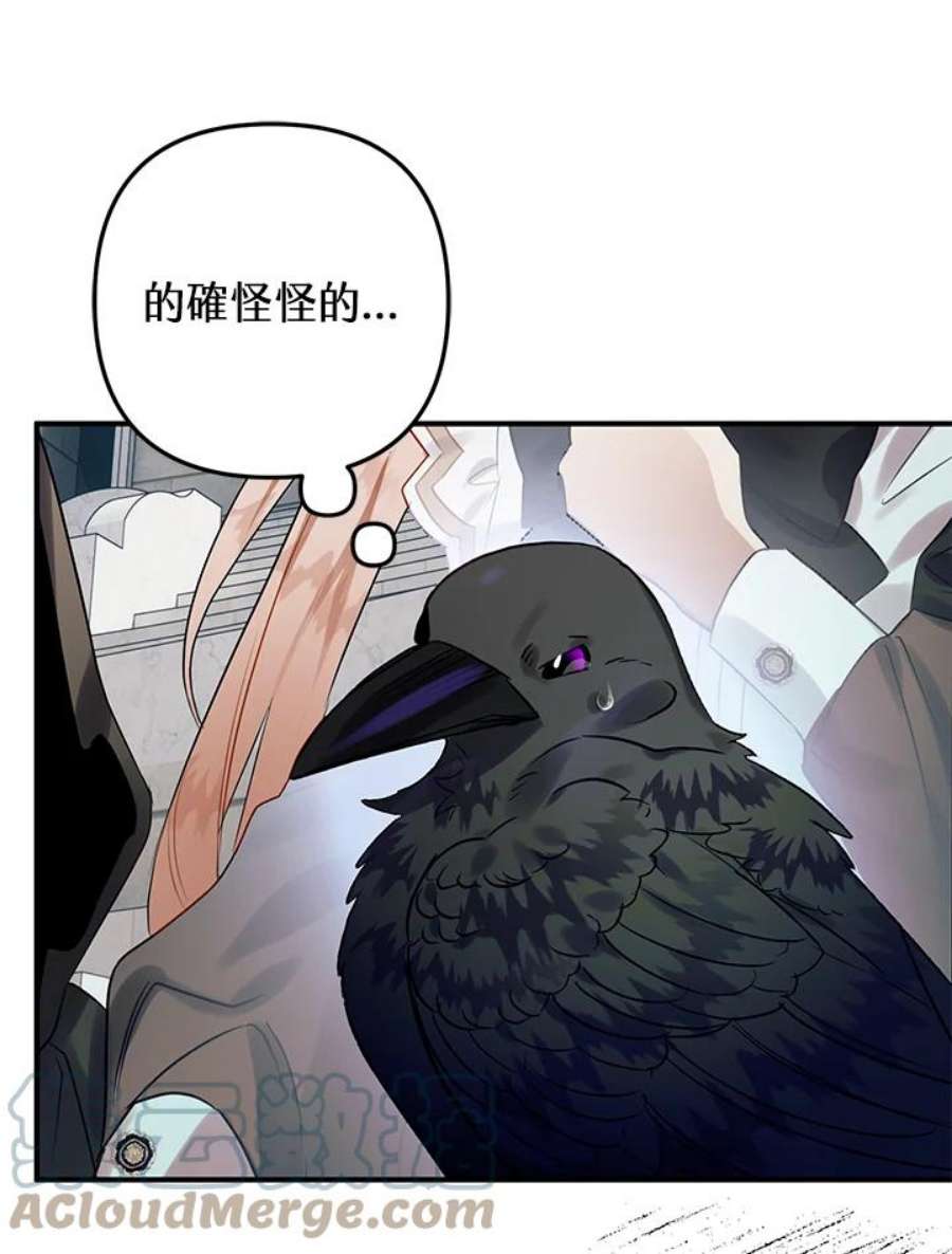 偏偏变成了乌鸦26话