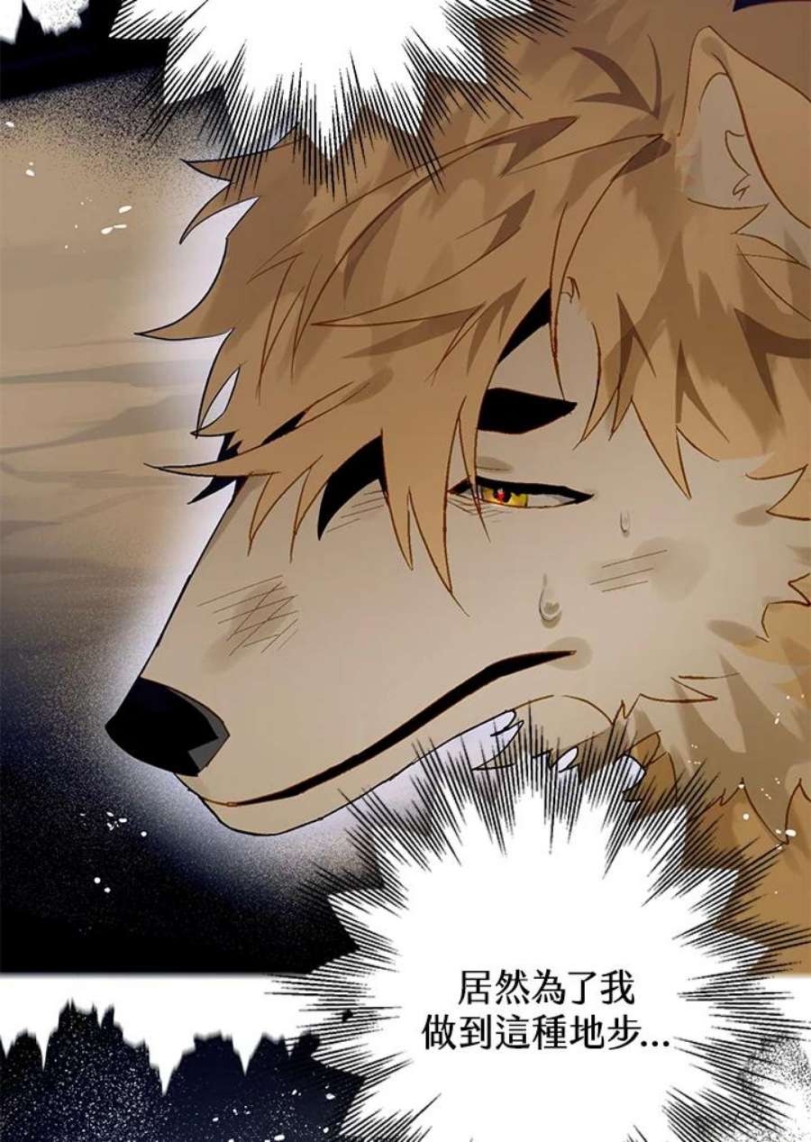 偏偏变成了乌鸦28话
