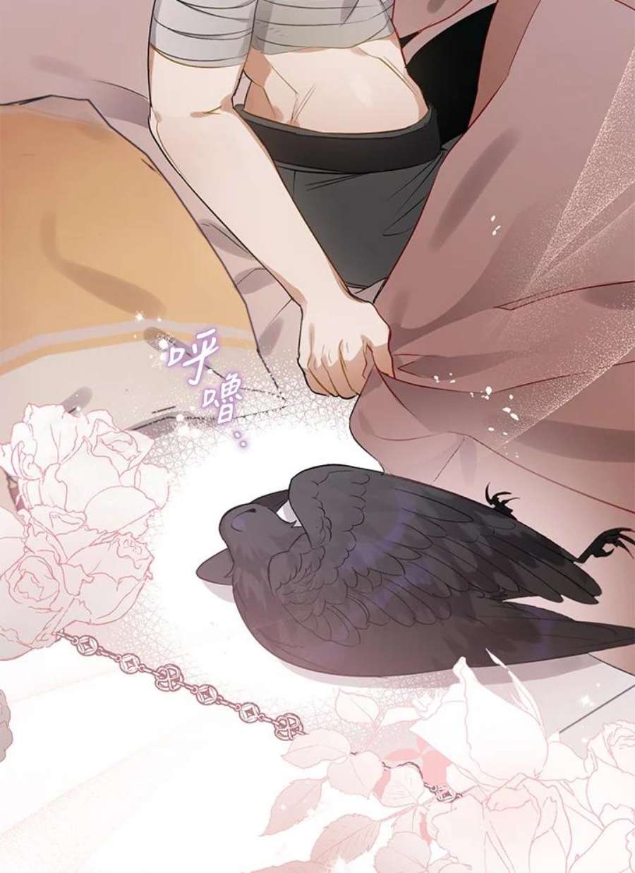 偏偏变成了乌鸦30话
