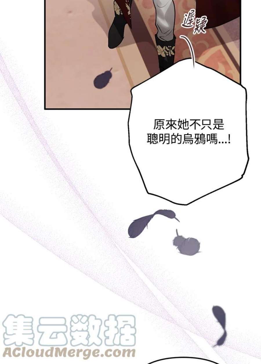 偏偏变成了乌鸦31话