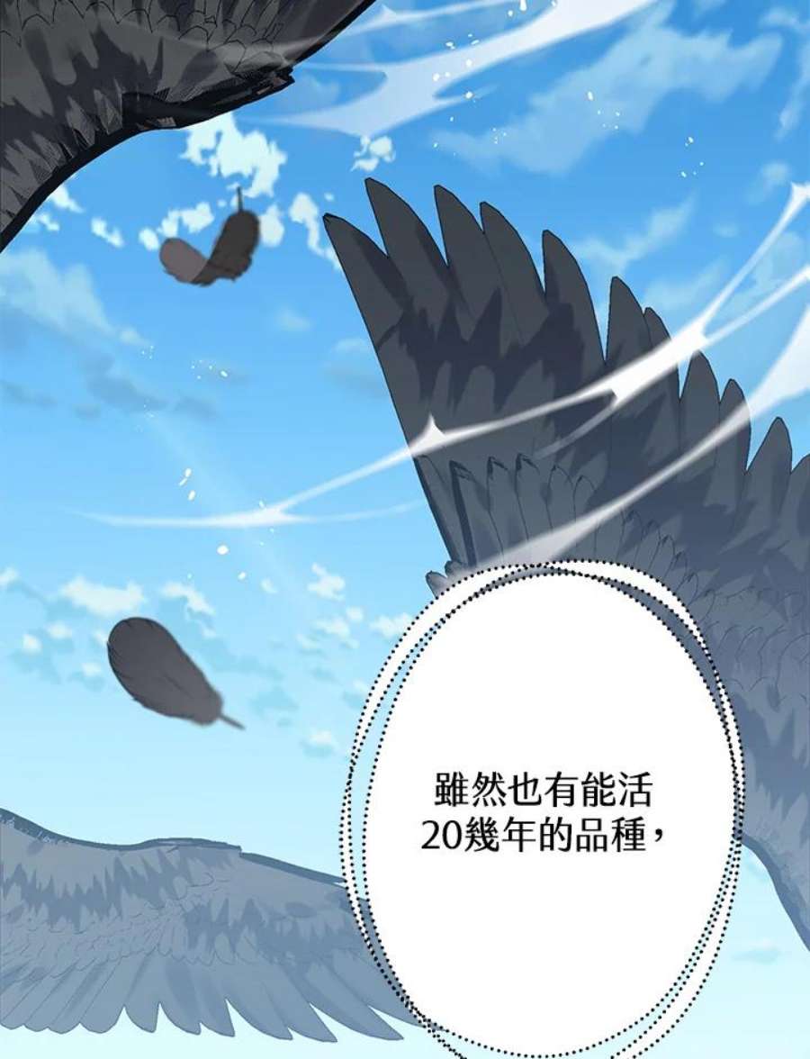 偏偏变成了乌鸦31话