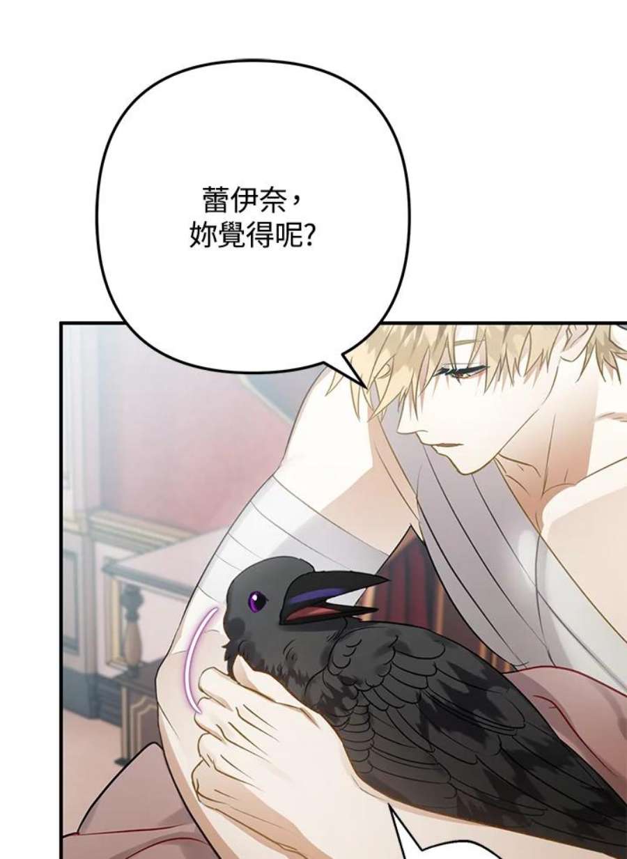 偏偏变成了乌鸦31话