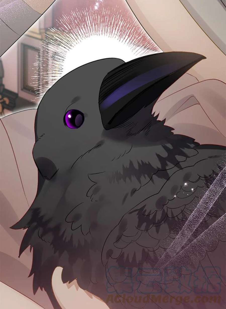 偏偏变成了乌鸦31话