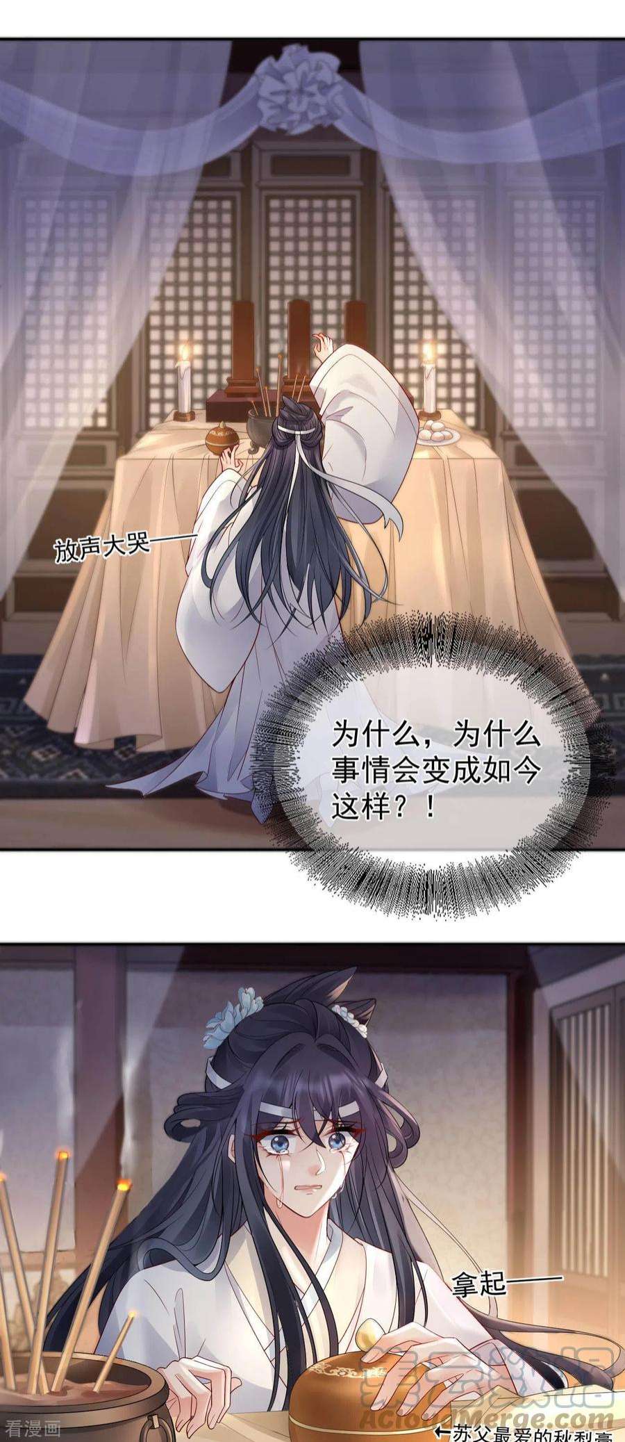 朱颜血19话 不共戴天之仇