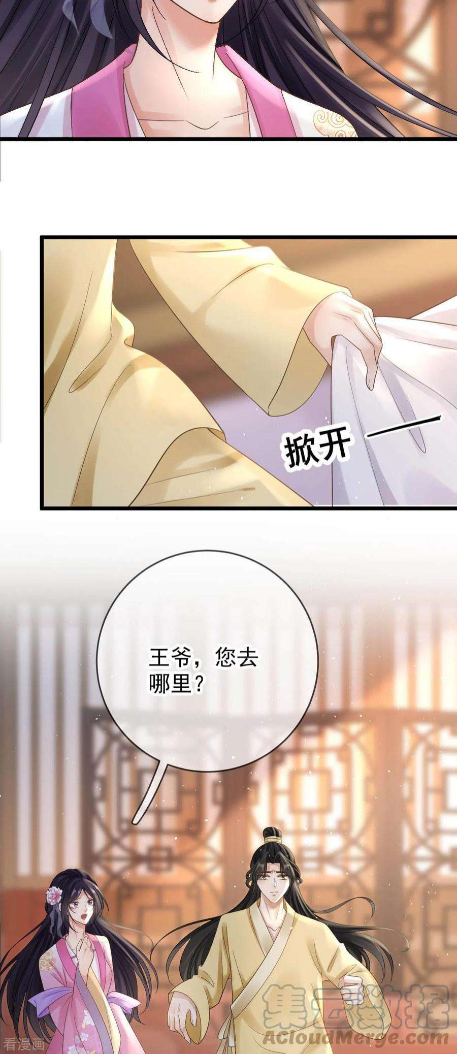 朱颜血28话 王妃失踪