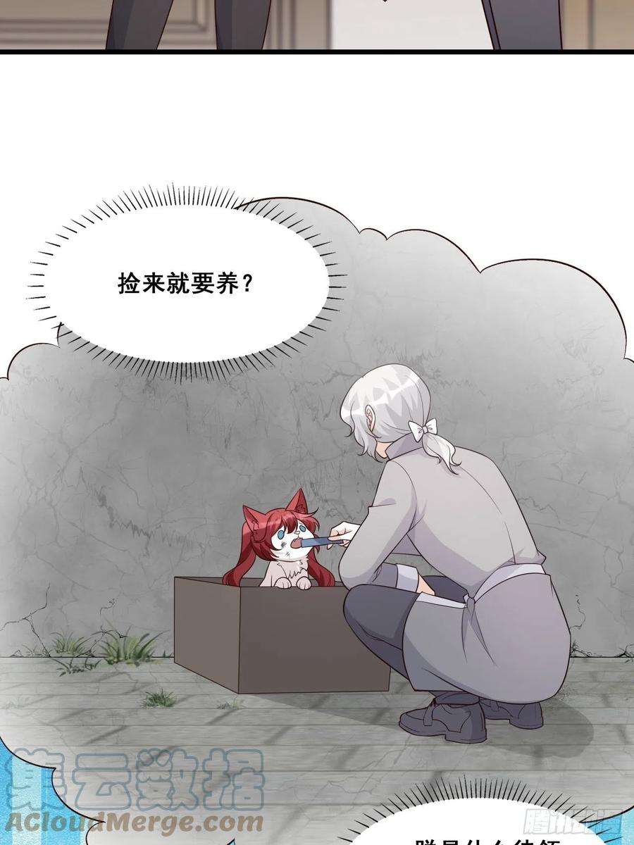 反派女帝来袭！饲养日常