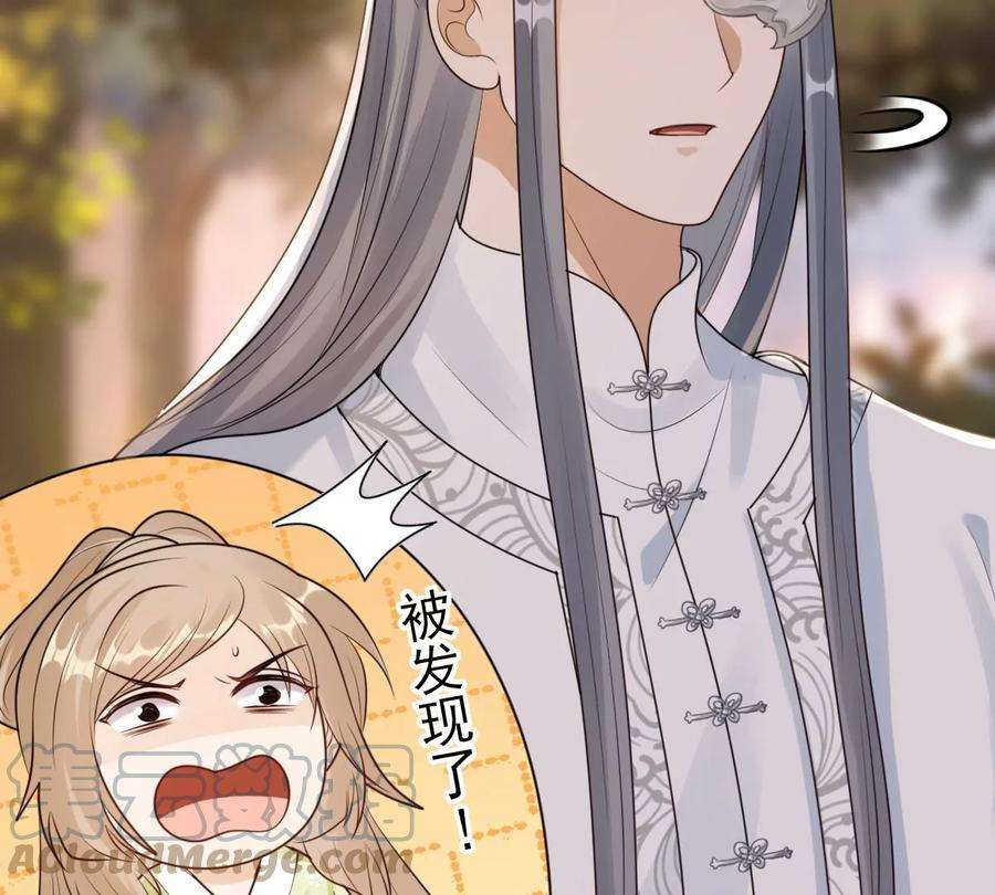 战神狂妃：凤倾天下253话 拿你当妹妹