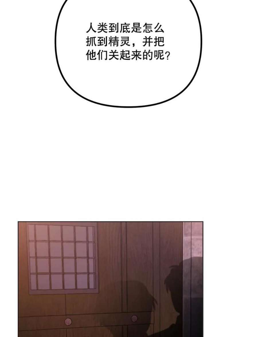 伊丽莎白53.陷阱