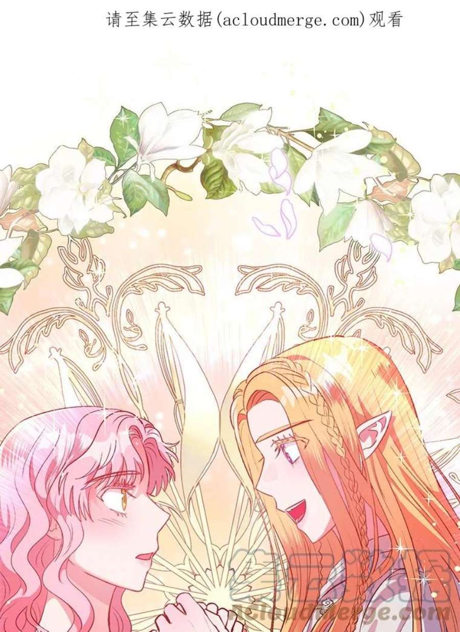 伊丽莎白59.会议