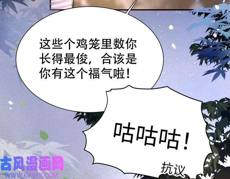 孤王寡女第30话 直球VS茶艺