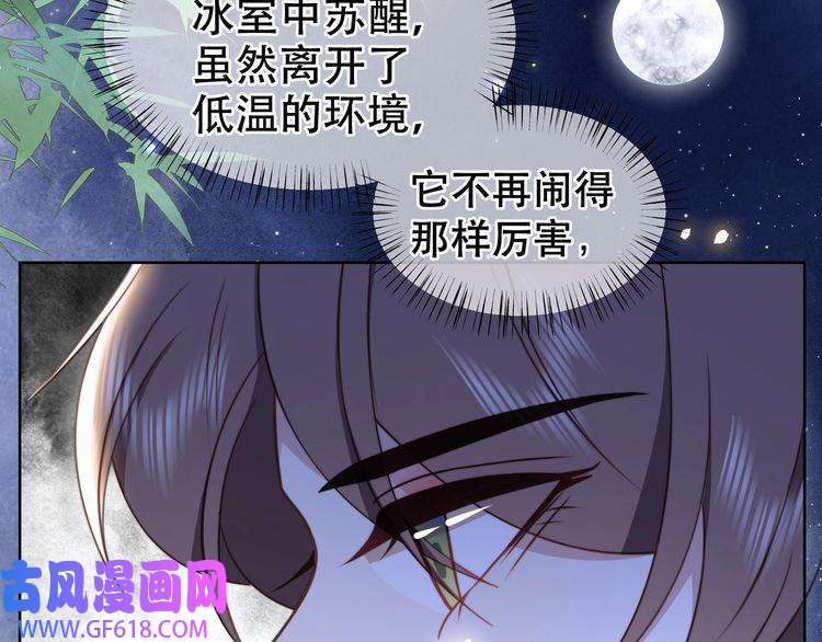 孤王寡女第38话 六郎忙洞房