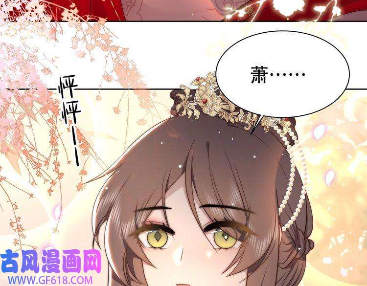 孤王寡女第38话 六郎忙洞房