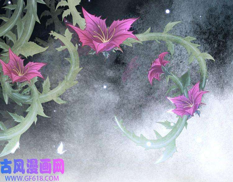 孤王寡女第52话 迷宫遇险