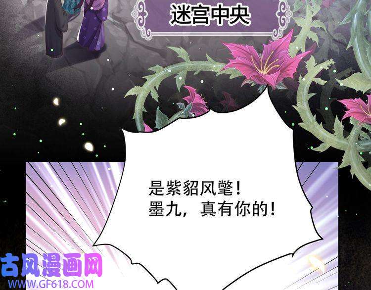 孤王寡女第52话 迷宫遇险