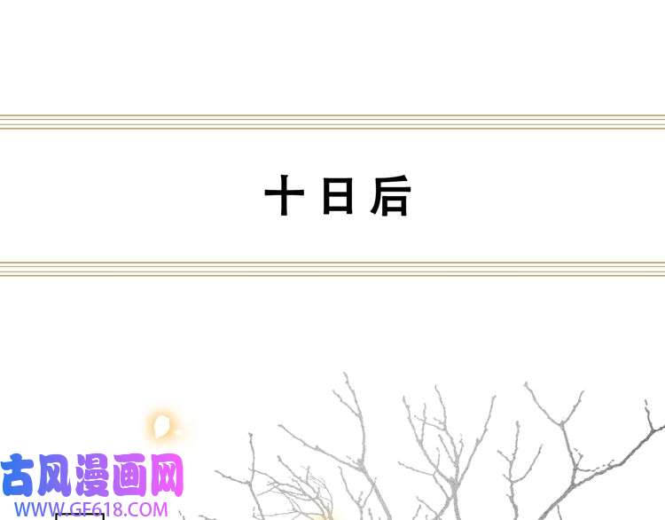 孤王寡女第67话 浪漫告白