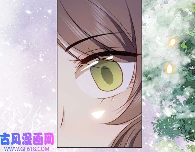 孤王寡女第67话 浪漫告白