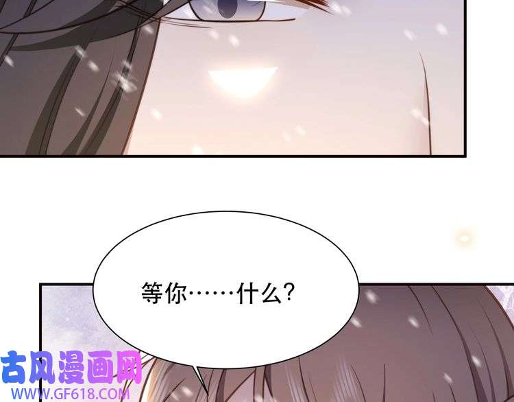 孤王寡女第68话 求婚