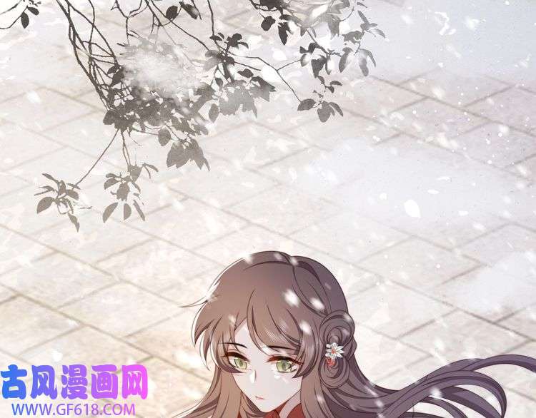 孤王寡女第68话 求婚