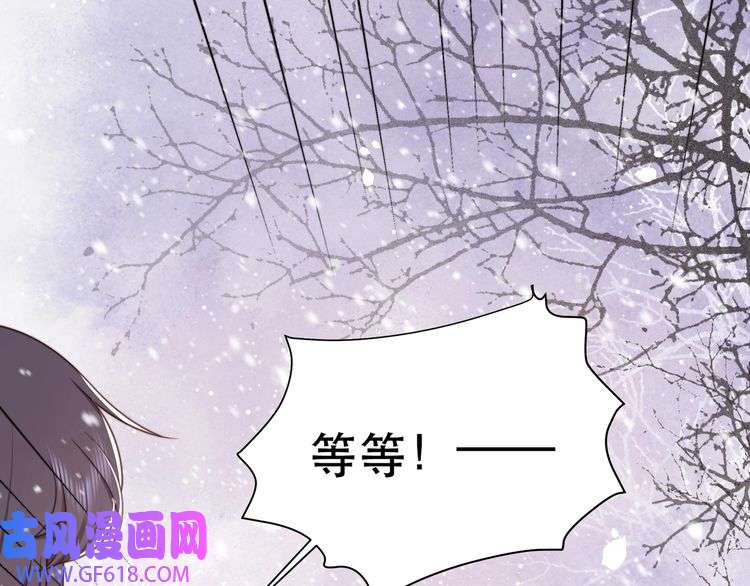孤王寡女第68话 求婚
