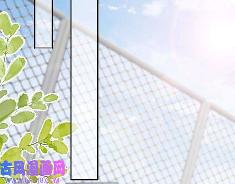 纪总的娇妻又凶又野10 改造