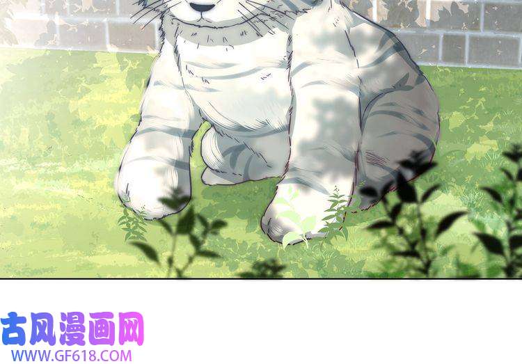 炮灰闺女的生存方式第2话 又入虎口