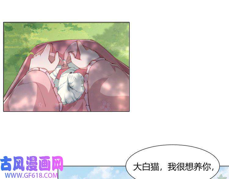 炮灰闺女的生存方式第2话 又入虎口