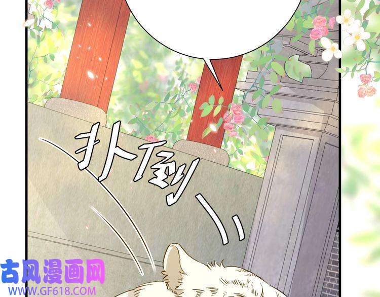 炮灰闺女的生存方式第98话 朕，御驾亲征！