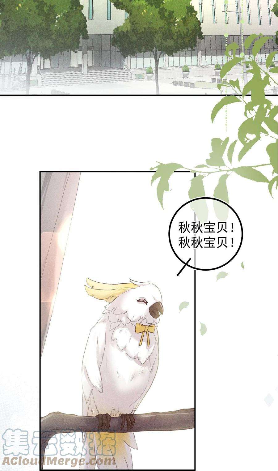 窥视017 钟式恩怨